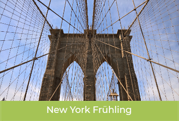 new-york-fruehling