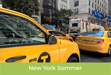 new-york-sommer