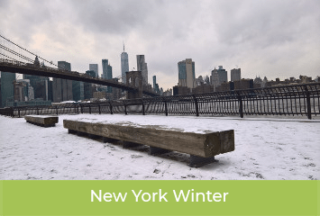 new-york-winter