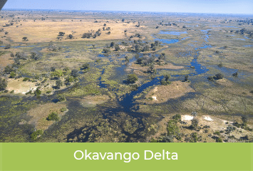 okavango-delta