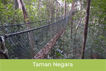 taman-negara