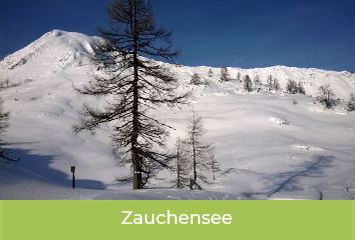 mobile_zauchensee